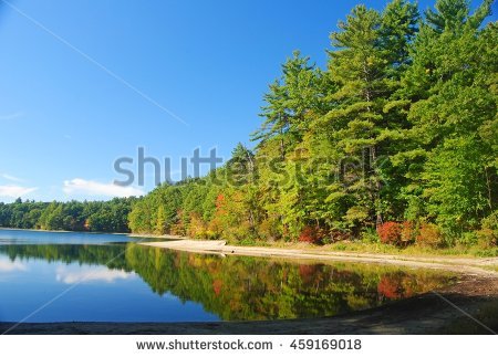 stock-photo-the-walden-pond-near-concord-ma-459169018