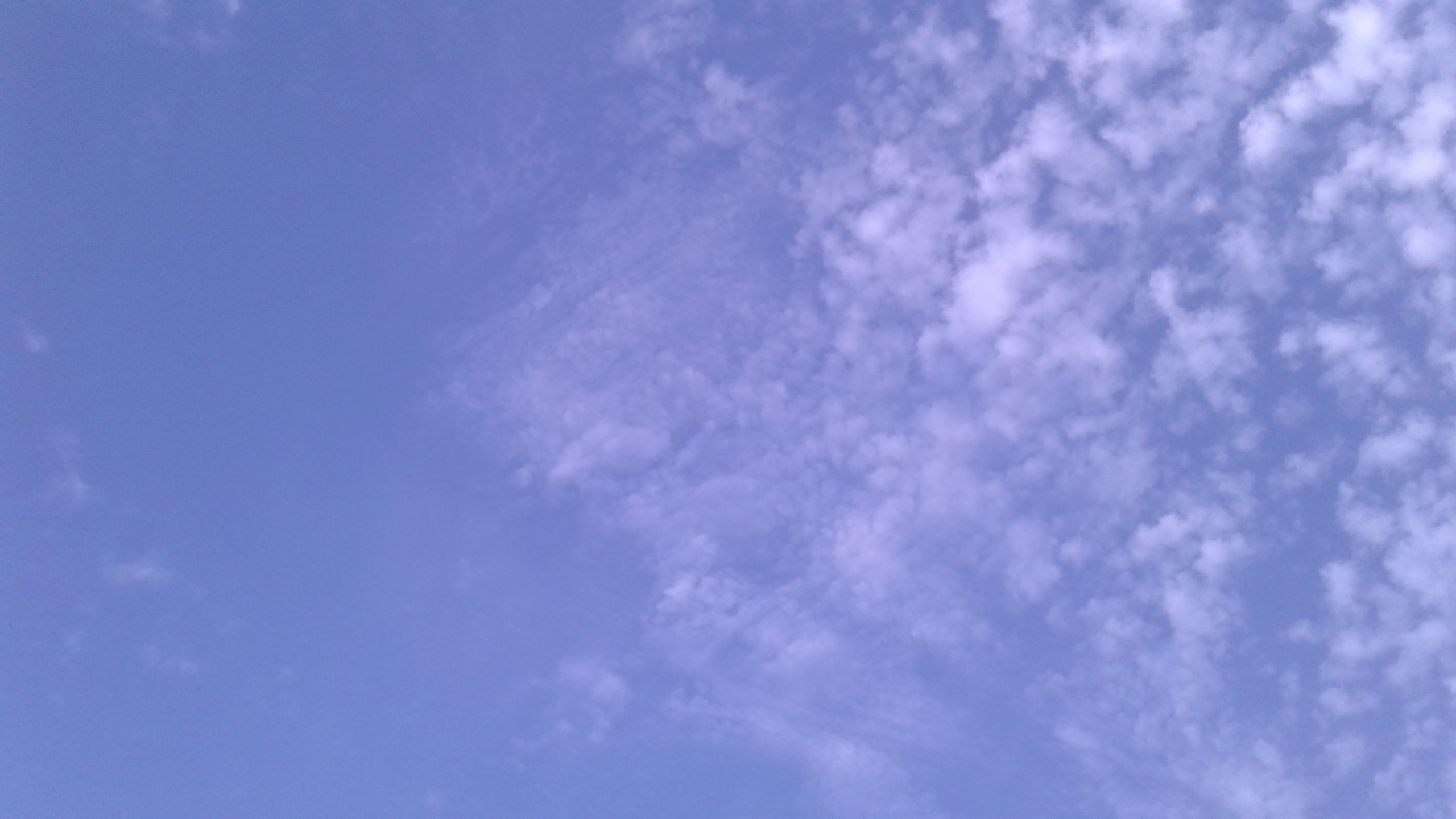 cielo azzurro 1.20180719_073346[2519]