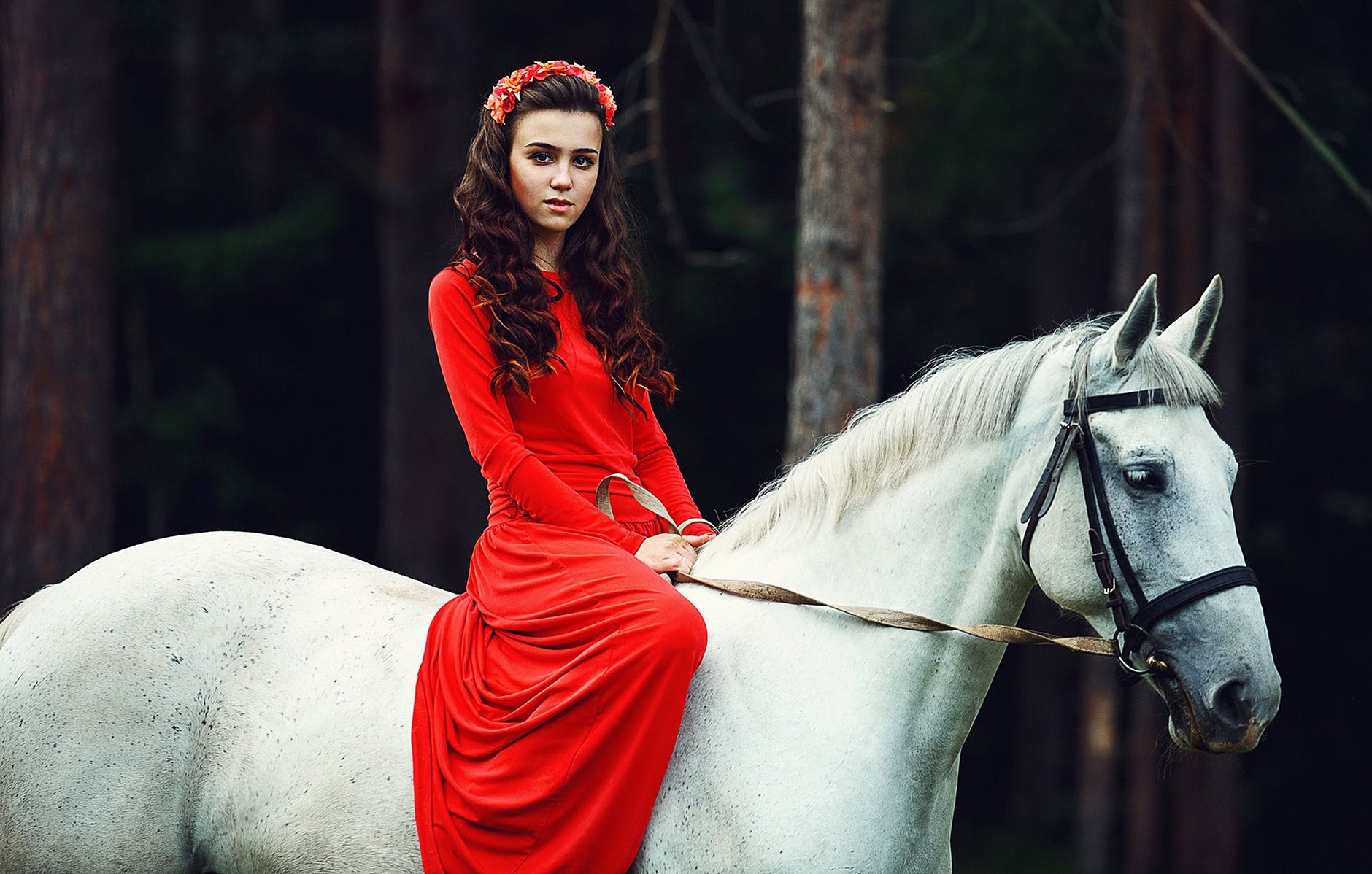 photo of woman riding on white horse